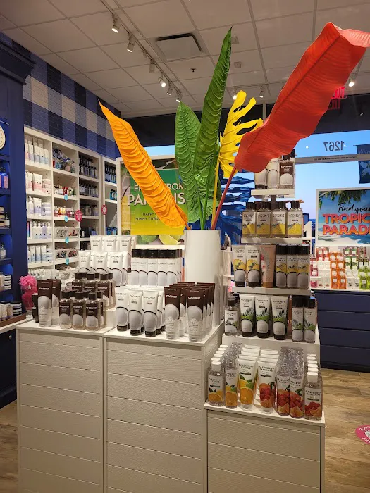 Bath & Body Works 1