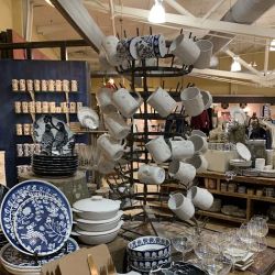Anthropologie ico