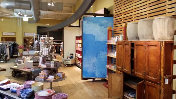 Anthropologie 5