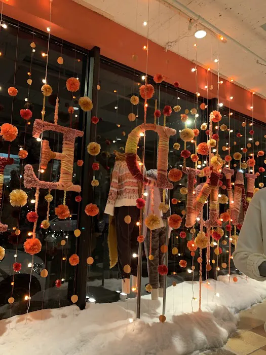 Anthropologie 3