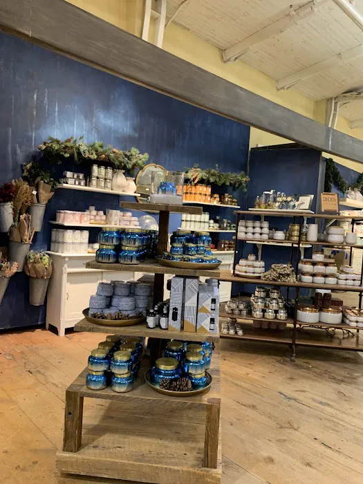 Anthropologie 8