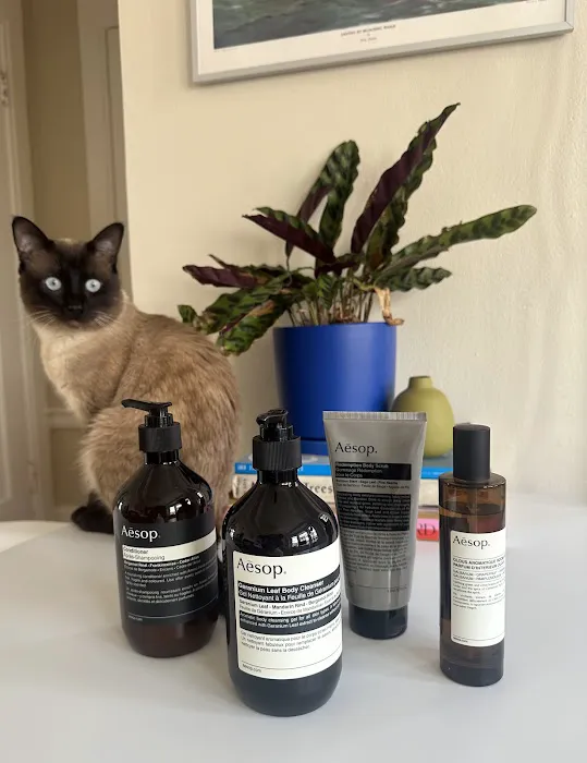 Aesop Jackson Square 1