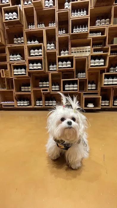 Aesop Fillmore Street 3