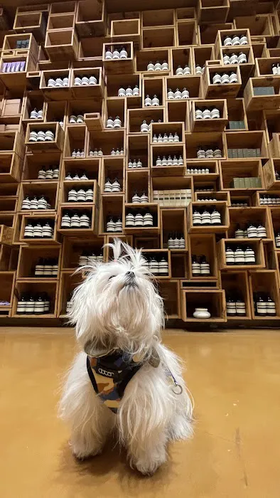 Aesop Fillmore Street 8
