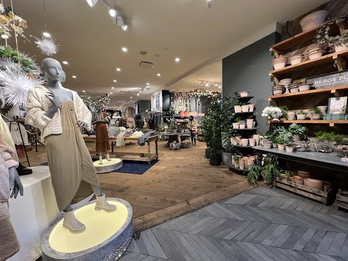 Anthropologie 2