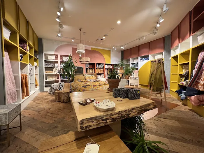 Anthropologie 0