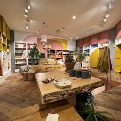Anthropologie ico