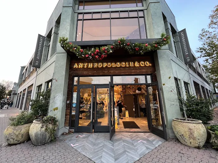 Anthropologie 1