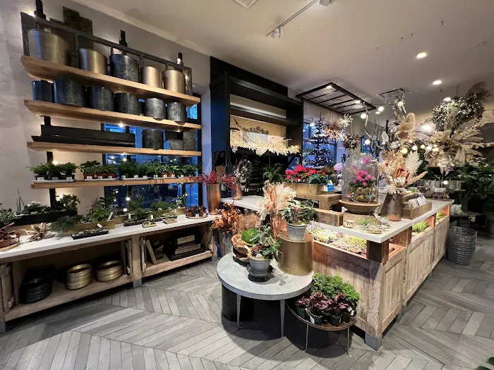 Anthropologie 3