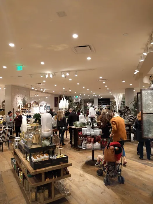 Anthropologie 7