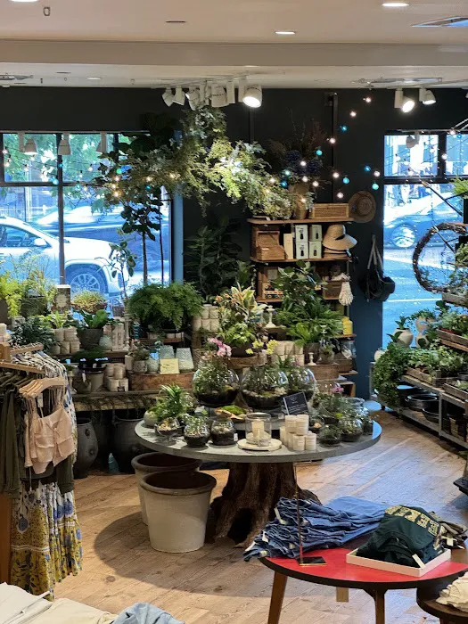 Aveda Store 2