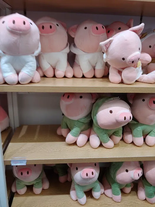 MINISO USA 5