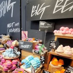 Lush Cosmetics Stoneridge Shopping Center ico