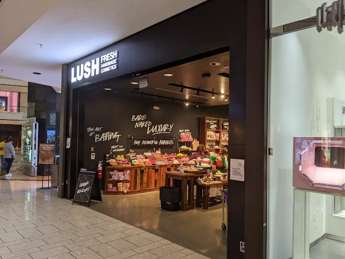 Lush Cosmetics Stoneridge Shopping Center 2