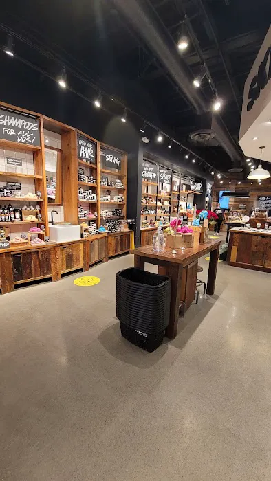 Lush Cosmetics Stoneridge Shopping Center 1