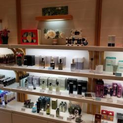 The Face Shop ico