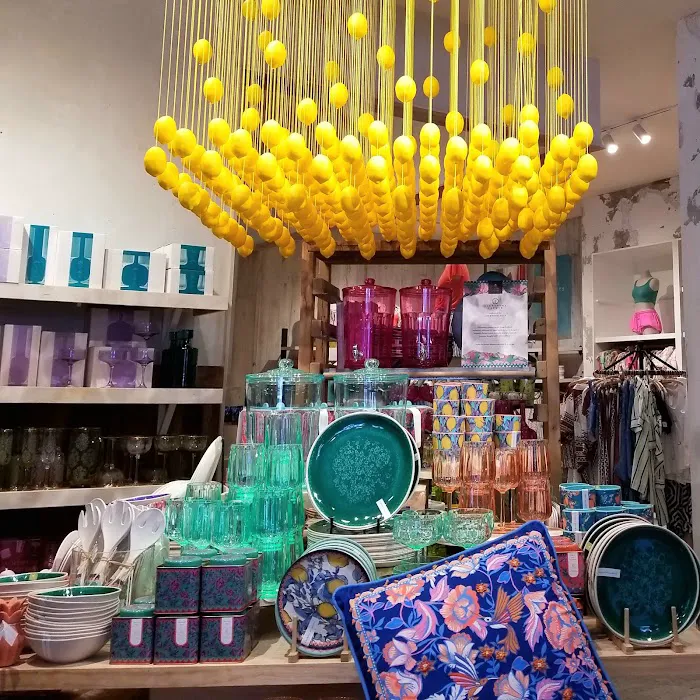 Anthropologie 1