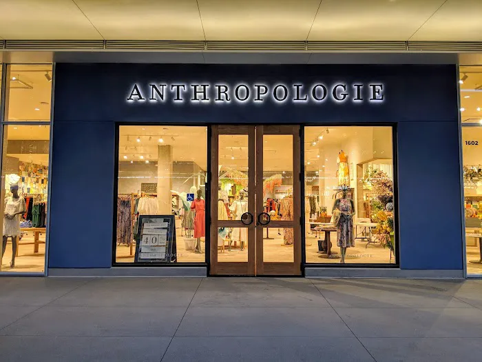 Anthropologie 0
