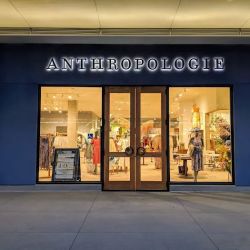 Anthropologie ico