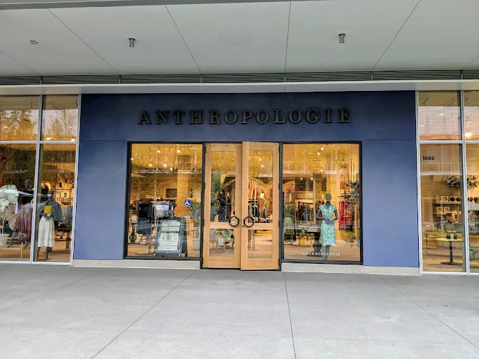Anthropologie 2