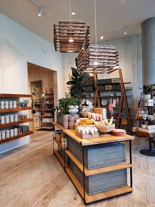 Anthropologie 3