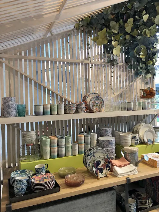 Anthropologie 8