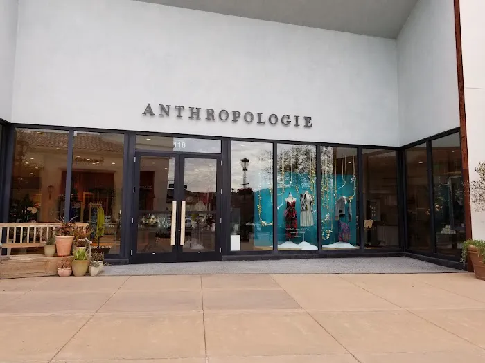 Anthropologie 7