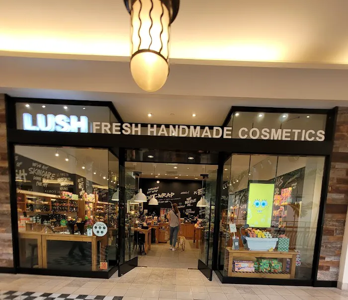 Lush Cosmetics Hillsdale 1