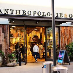 Anthropologie ico