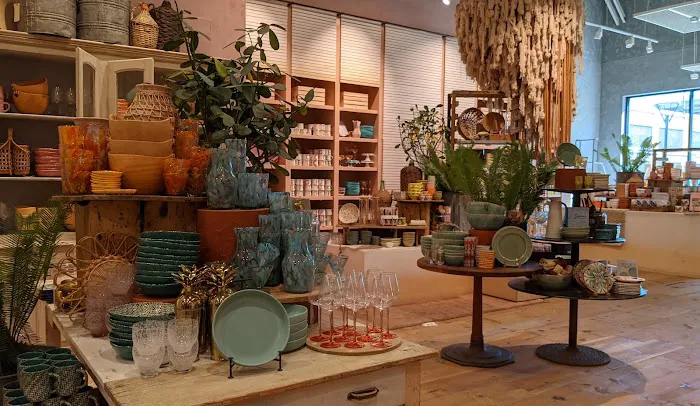 Anthropologie 4