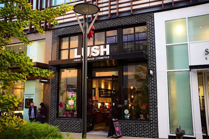 Lush Cosmetics Stanford Shopping Center 5