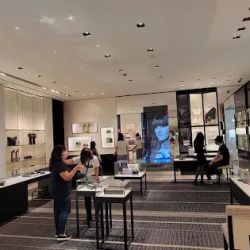 CHANEL ico