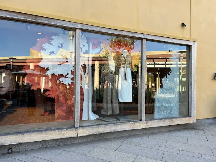 Anthropologie 1