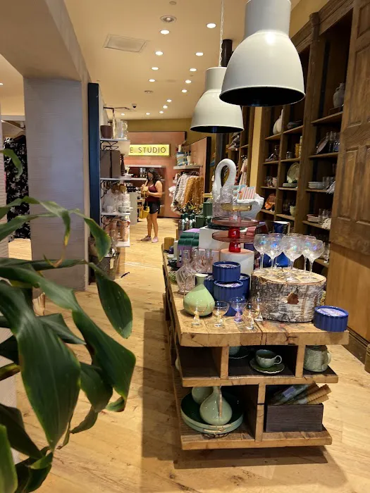 Anthropologie 3