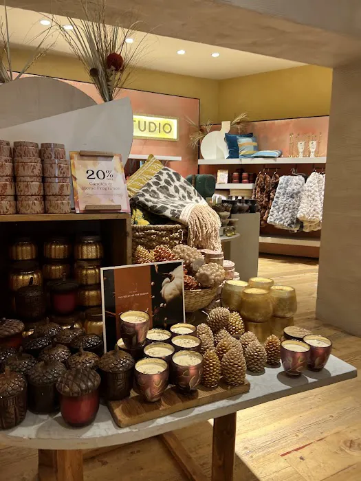 Anthropologie 8