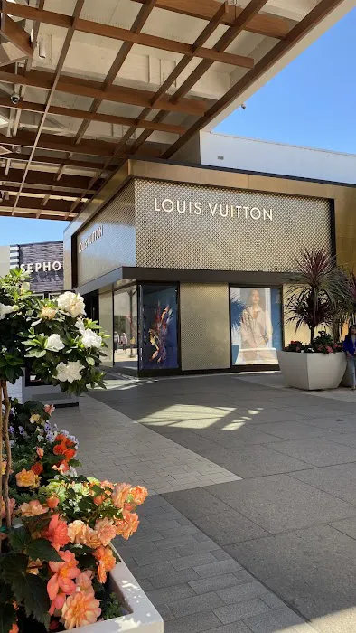 Louis Vuitton Palo Alto 3