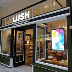 Lush Cosmetics Stonestown Galleria ico