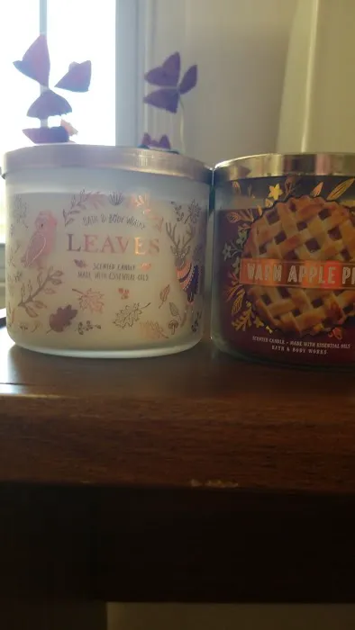 Bath & Body Works 3