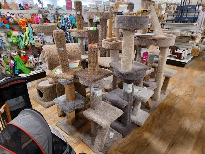 HomeGoods 8