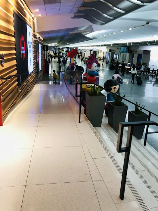 DFS San Francisco International Airport 5