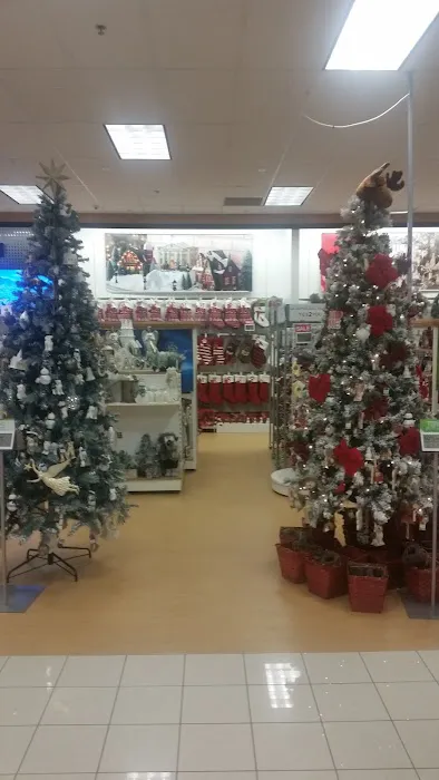 Kohl's 5