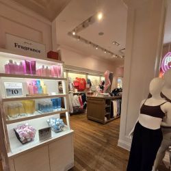 PINK by Victoria's Secret ico