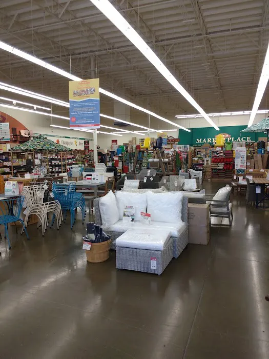 World Market 5