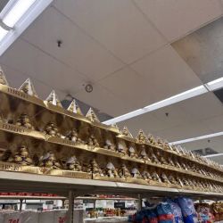 Walgreens ico