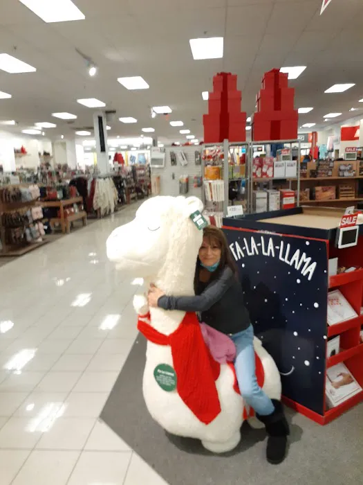 Kohl's 3
