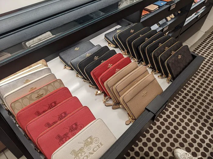 COACH Outlet 8