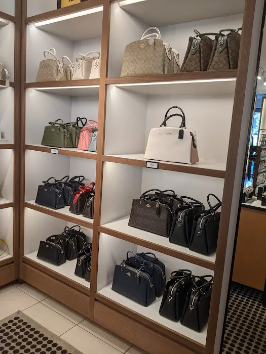 COACH Outlet 7