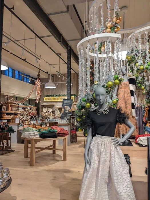 Anthropologie 4