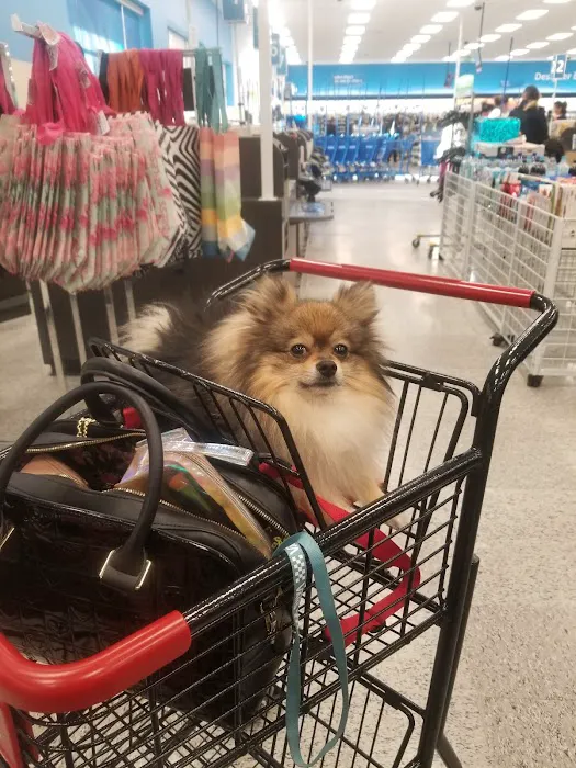 T.J. Maxx 7