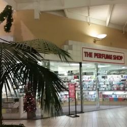 The perfume shop ico